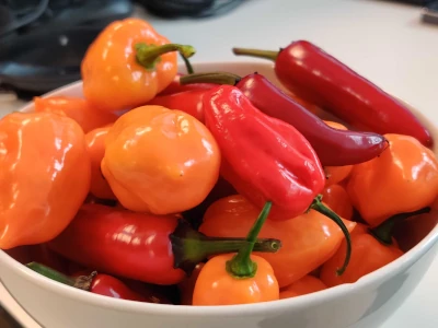 Chili is offered at work