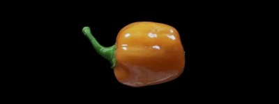 Orange Habanero